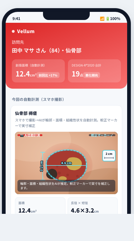 Vellum の画面イメージ