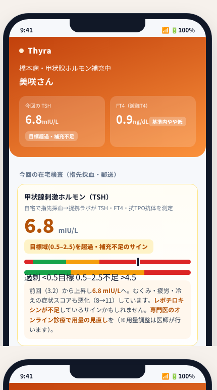 Thyra の画面イメージ