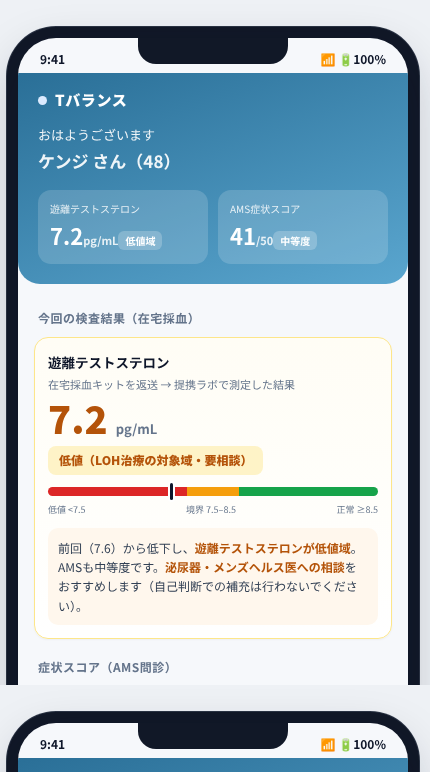 Tバランス の画面イメージ