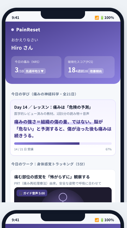 PainReset の画面イメージ